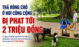 Thả rông chó ở nơi công cộng bị phạt tới 2 triệu đồng