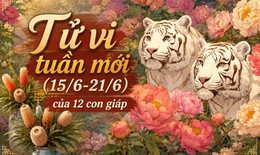 Tử vi tuần mới 12 con giáp 15/6 - 21/6: Dần trung bình, Dậu tài lộc tăng mạnh