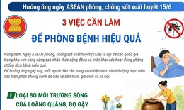 Ngày ASEAN phòng, chống sốt xuất huyết: 3 việc cần làm để phòng bệnh hiệu quả