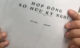 Hợp đồng kỳ nghỉ và những tổn thương không thể khỏa lấp của người già
