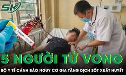 5 người tử vong vì sốt xuất huyết, Bộ Y tế lên tiếng cảnh báo