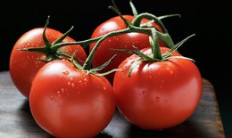 Bí quyết ăn cà chua chống lão hóa và hồi sinh làn da cháy nắng