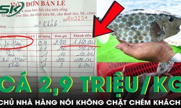 Du khách phản ánh cá bò hòm 2,9 triệu/kg, chủ nhà hàng nói không chặt chém