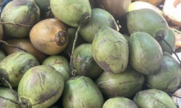 Những loại đồ uống tự nhiên giúp hỗ trợ ổn định huyết áp hiệu quả