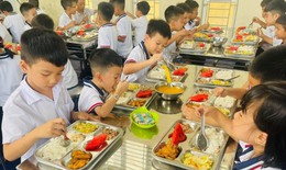 Xu hướng xanh hóa và địa phương hóa khay cơm trường học