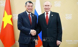 Thủ tướng Chính phủ Lê Minh Hưng hội kiến Tổng thống Nga Vladimir Putin
