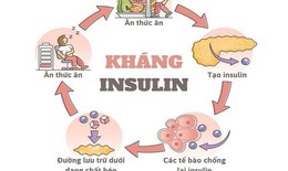 Omega-7 có giúp cải thiện đề kháng insulin và sức khỏe chuyển hóa?