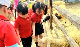 Nghỉ hè, phụ huynh Hà Nội tốn tiền triệu để 'giữ chân' con