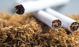 Cảnh báo: Xu hướng trẻ hóa đối tượng nghiện nicotine đang diễn ra mạnh mẽ