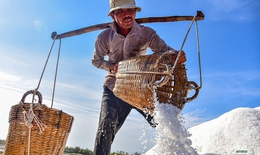 Nét đẹp trên cánh đồng muối Cần Giờ