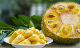 Ăn mít có tốt không và những ai nên hạn chế ăn mít?