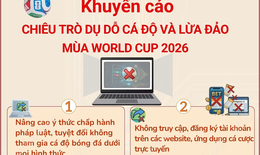 Cảnh giác với chiêu trò dụ dỗ cá độ và lừa đảo mùa World Cup 2026