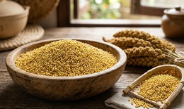 Hạt kê – thực phẩm tốt cho người tỳ vị hư yếu
