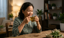 Uống nước lá đinh lăng buổi tối có giúp ngủ ngon hơn?