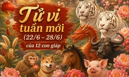 Tử vi tuần mới 12 con giáp 22/6 - 28/6: Dậu bình ổn, Hợi công việc hanh thông