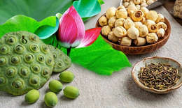 Hạt sen tươi và hạt sen khô, loại nào tốt hơn?