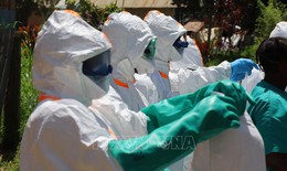 Dịch Ebola: Tây Phi tăng cường các biện pháp chuẩn bị và phòng ngừa