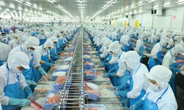 Cổ phiếu VHC được kỳ vọng tăng 5%