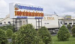 Công ty Cổ phần Xuất nhập khẩu Nông sản Thực phẩm Cà Mau vi phạm chứng khoán