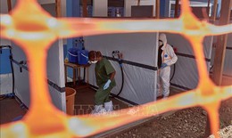 Dịch Ebola: WHO thử nghiệm 2 phương pháp điều trị tại CHDC Congo