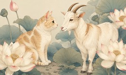 Tử vi 12 con giáp hôm nay 30/6: Tý như ý, Mùi ăn nên làm ra