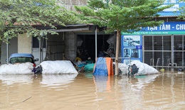 Cảnh báo ngập úng nhiều khu vực do mưa lớn, lũ trên các sông lên nhanh
