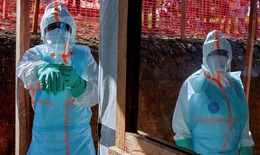 WHO thông báo số ca nghi nhiễm Ebola tại CHDC Congo giảm mạnh