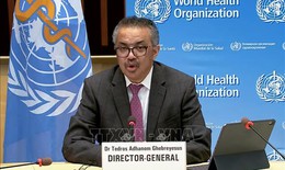 Dịch Ebola: WHO cảnh báo chủng virus hiếm gặp bùng phát nhanh tại Trung Phi
