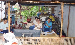 Bắt nhóm tổ chức đá gà qua mạng, giao dịch 80 tỷ đồng