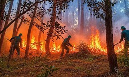 Liên tiếp 2 vụ cháy rừng, nhà dân ở Huế