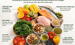Collagen từ thực phẩm có thực sự hiệu quả?