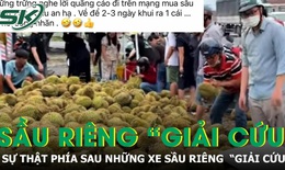 Sự thật đáng buồn phía sau những tấm bảng 'giải cứu' sầu riêng giá 25.000 đồng/kg
