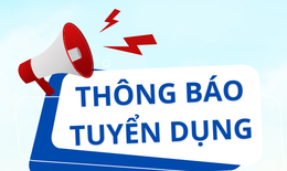 Văn phòng Hội đồng Y khoa Quốc gia tuyển dụng viên chức năm 2026