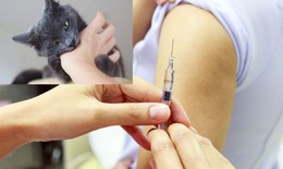 Nguy cơ bệnh dại gia tăng mùa nắng nóng, cần tiêm phòng ngay khi bị chó mèo cắn
