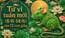 Tử vi tuần mới 12 con giáp 8/6 - 14/6: Thìn cải thiện, Hợi biến động đan xen