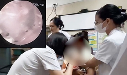 Thường xuyên chơi với thú cưng, bé gái 2 tuổi bị bọ chét ký sinh trong tai 