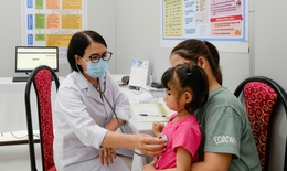Nguy cơ bệnh dại gia tăng trong mùa nắng nóng, không chủ quan khi bị chó mèo cắn