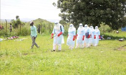 Dịch Ebola: Hơn 18% ca mắc tại CHDC Congo đã tử vong