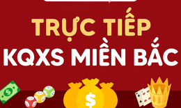 Kết quả xổ số miền Bắc hôm nay ngày 11/6/2026 - XSMB 11/6