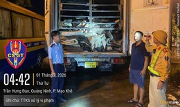Xe tải đông lạnh chở gần 9 tấn da trâu muối không rõ nguồn gốc