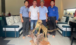 Bảo tàng ở Huế tiếp nhận tiêu bản động vật hoang dã quý hiếm
