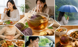 Uống nước lá tía tô với gừng vào thời điểm nào tốt nhất?