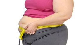 7 nguyên tắc giúp giảm và kiểm soát mỡ nội tạng, bảo vệ hệ tim mạch, chuyển hóa
