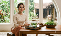 Đun lá đinh lăng bao lâu để giữ được hoạt chất?