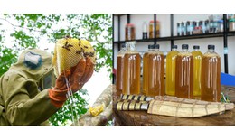 Mẹo phân biệt mật ong thật và giả đơn giản ngay tại nhà