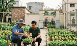 Người cải tạo không giam giữ vi phạm quy định có thể bị chuyển sang phạt tù