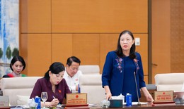 Cử tri lo ngại hàng giả, điểm thi Toán bất thường và tai nạn đường thủy