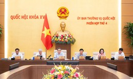 Đề xuất cấm kinh doanh khí N2O ngoài mục đích y tế để bảo vệ sức khỏe cộng đồng