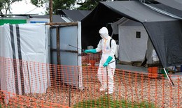 Dịch Ebola: Bệnh nhân cuối cùng xuất viện, Uganda đếm ngược đến ngày hết dịch