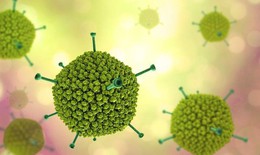 Biểu hiện khi trẻ mắc Adenovirus: Cha mẹ cần nhận biết sớm để phòng biến chứng
